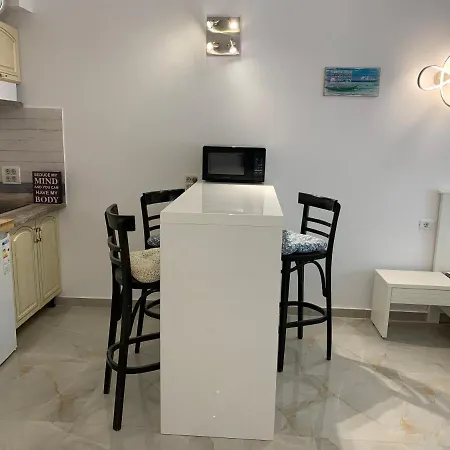 公寓 Large And Bright Studio Near The Sea *