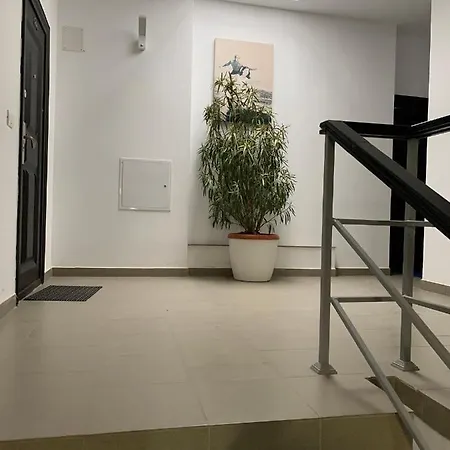 公寓 Large And Bright Studio Near The Sea